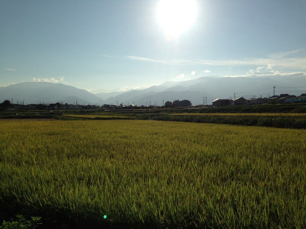 夕方の南アルプス