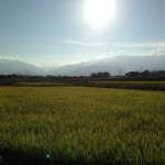 夕方の南アルプス